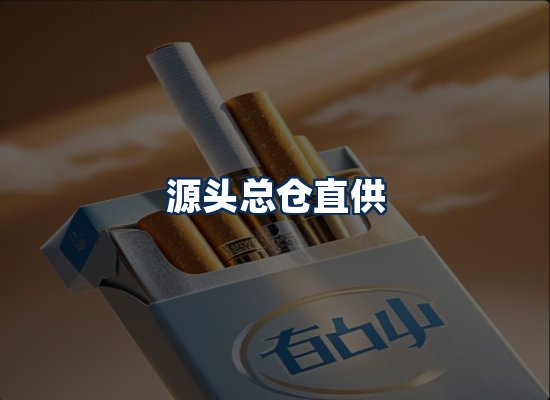 专业团队办公环境